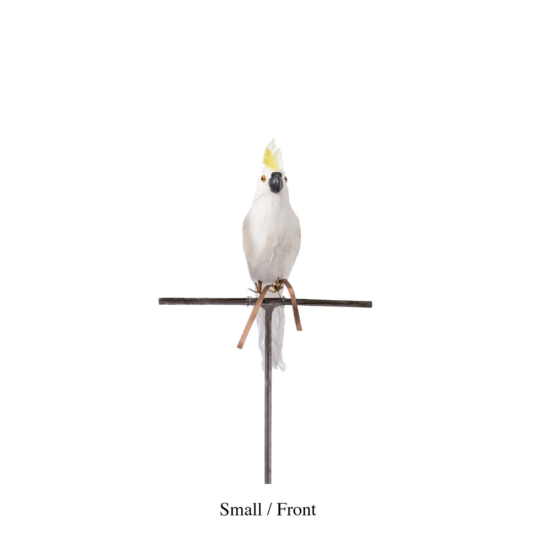parrot small side design by puebco 2