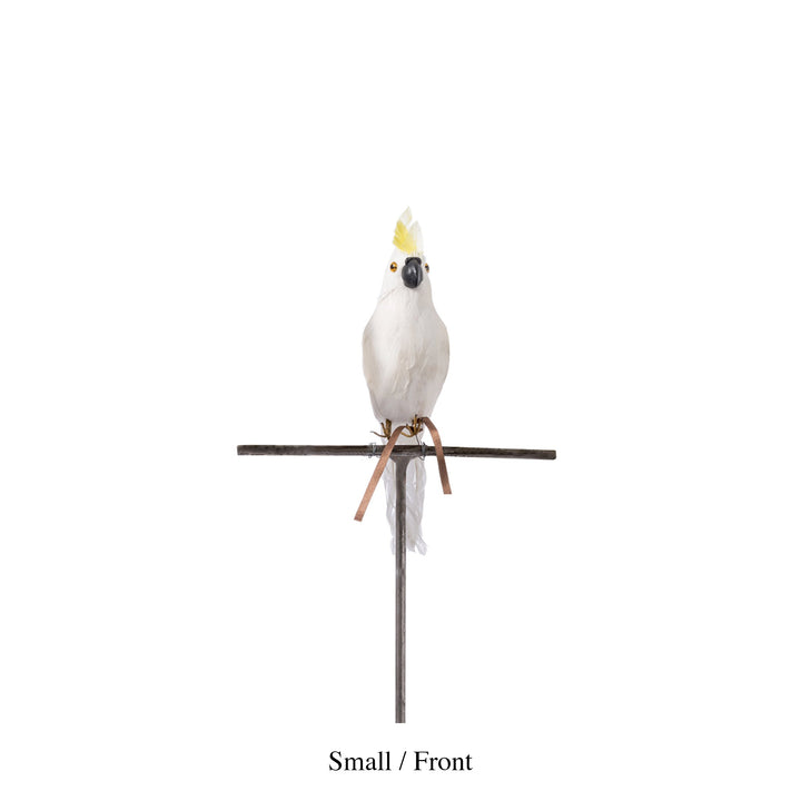 parrot small side design by puebco 2
