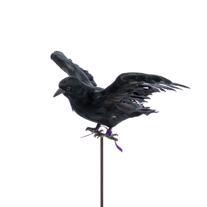 flying crow design by puebco 2