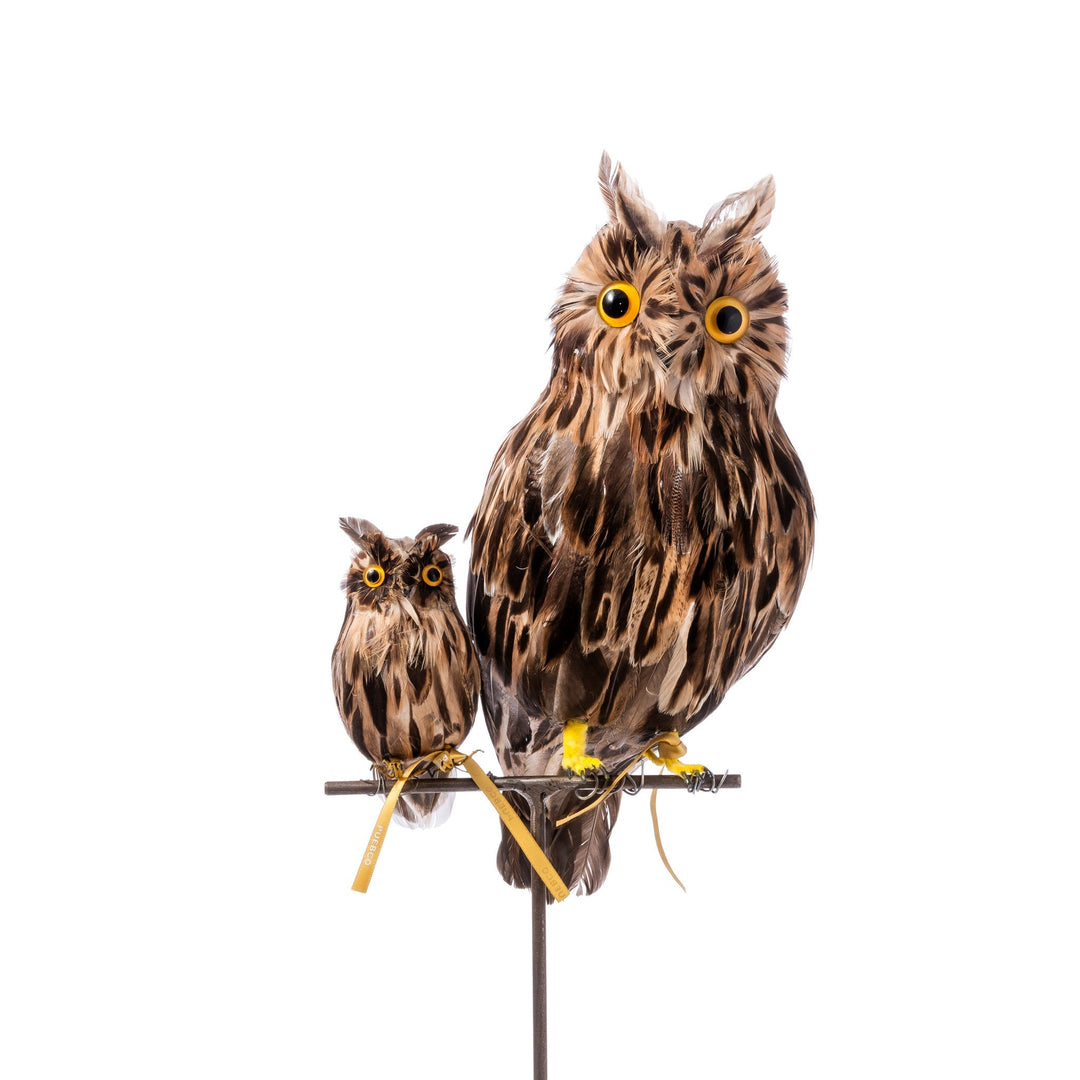 owl brown small design by puebco 3