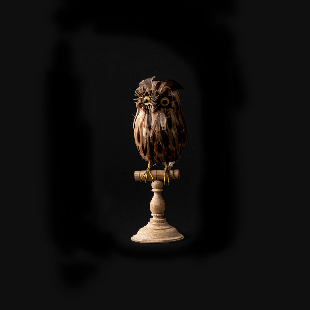 owl brown small design by puebco 1