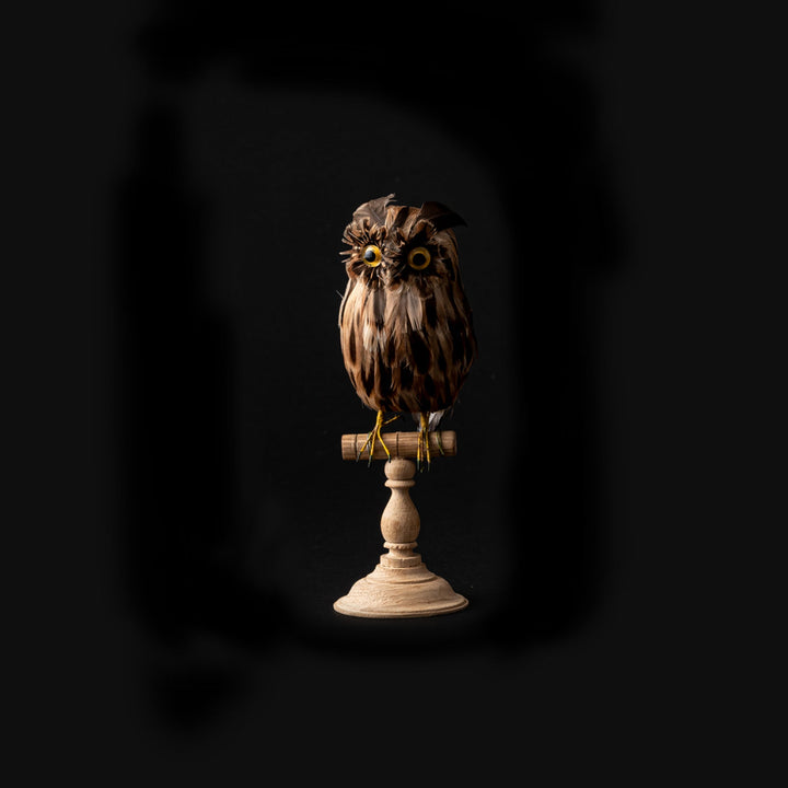 owl brown small design by puebco 1