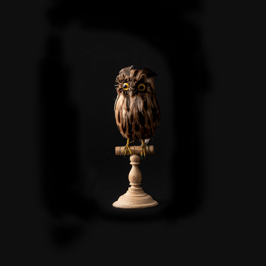 owl brown small design by puebco 1