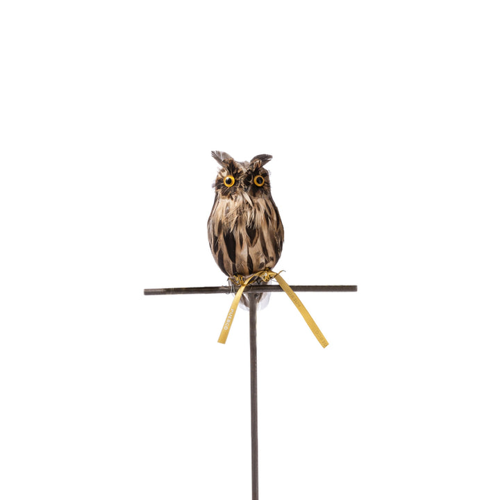 owl brown small design by puebco 2