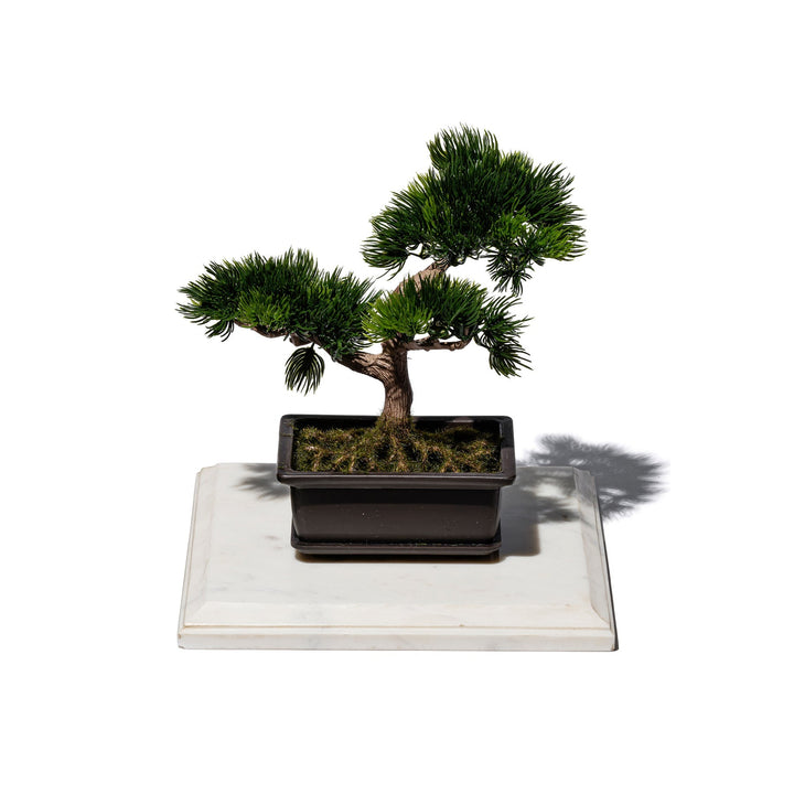 marble pedestal 2