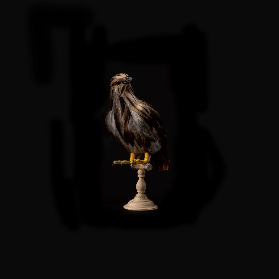 eagle small design by puebco 1