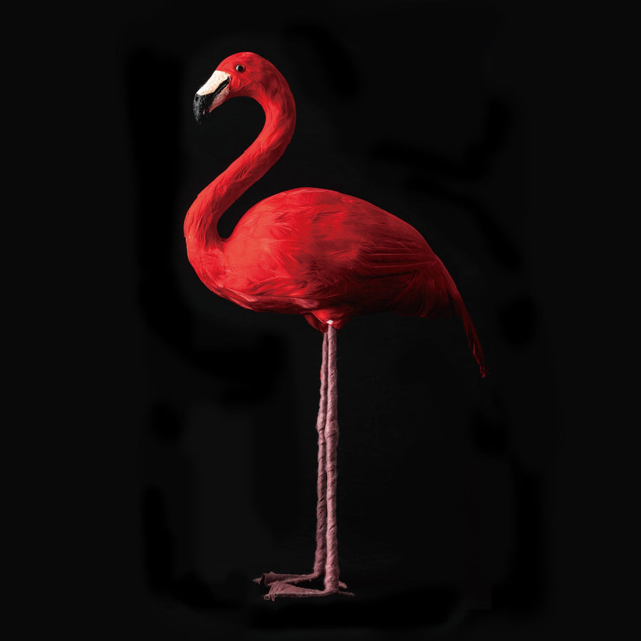 flamingo design by puebco 1