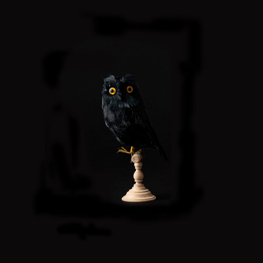 owl black design by puebco 1