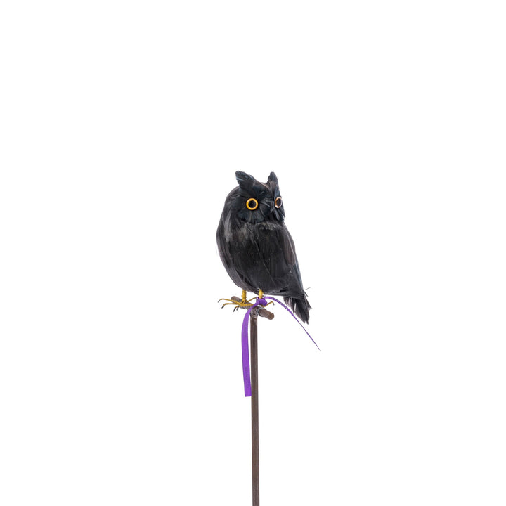 owl black design by puebco 2