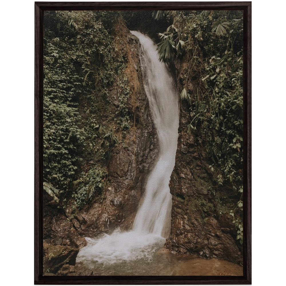 FramedCanvs-30x40-DarkWalnut-20250120095740302