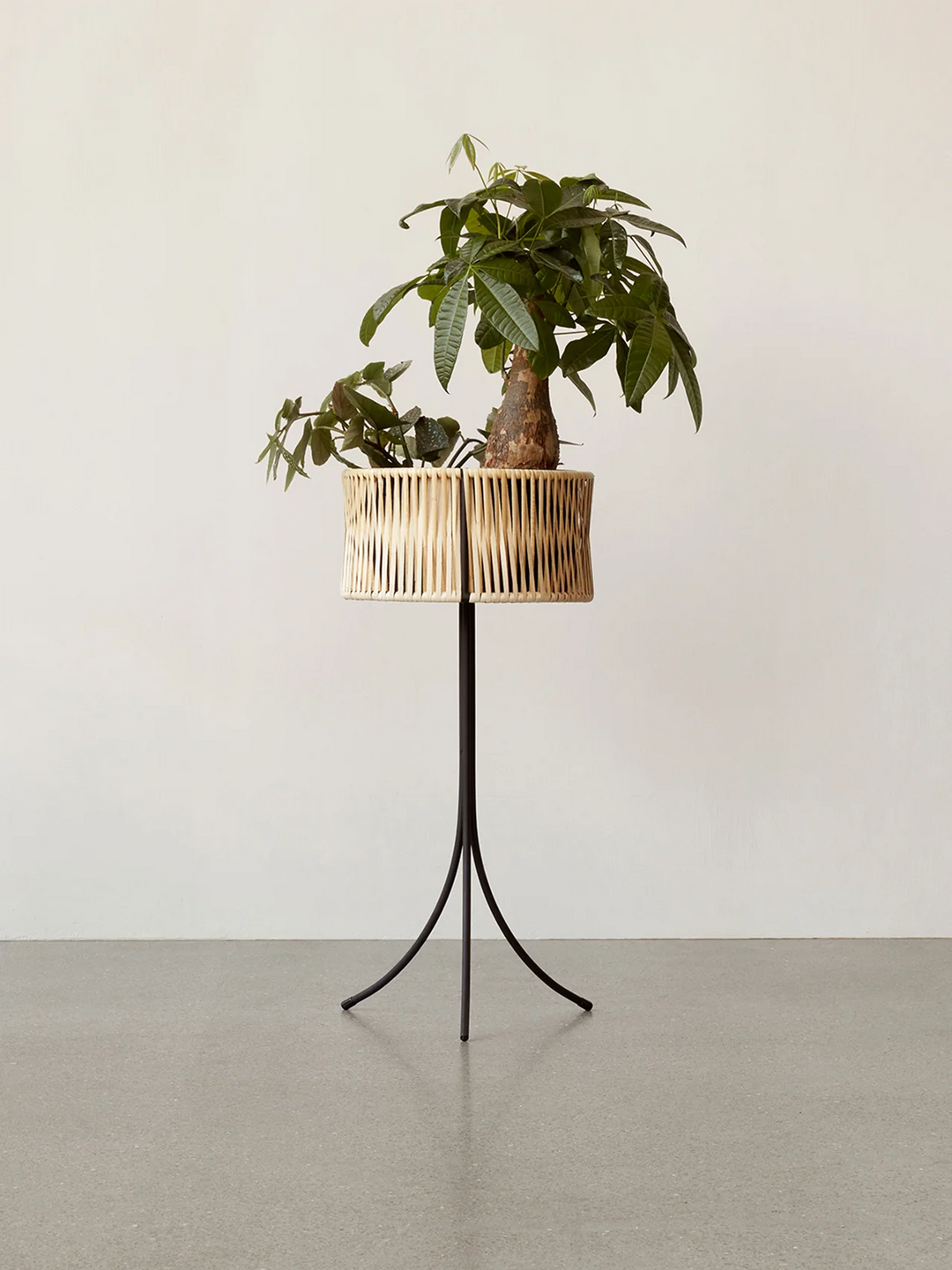 Umanoff Planter