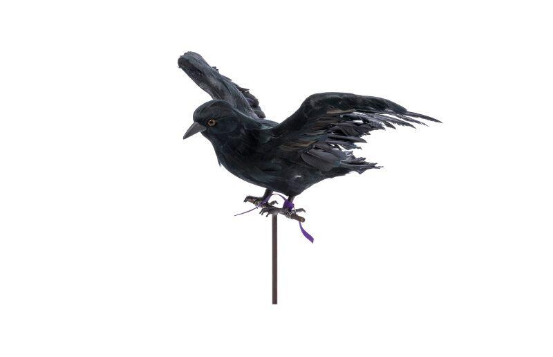 flying crow design by puebco 3