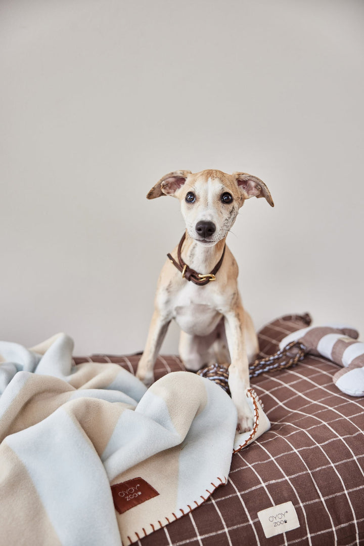 kaya dog blanket small 7
