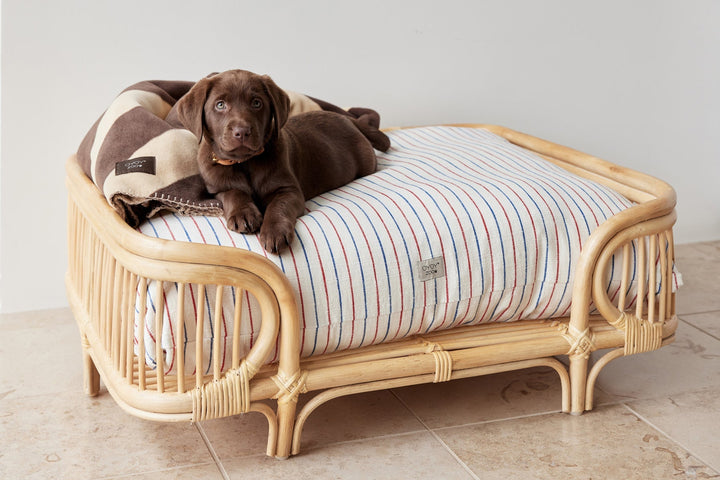 kyoto dog cushion mellow 7
