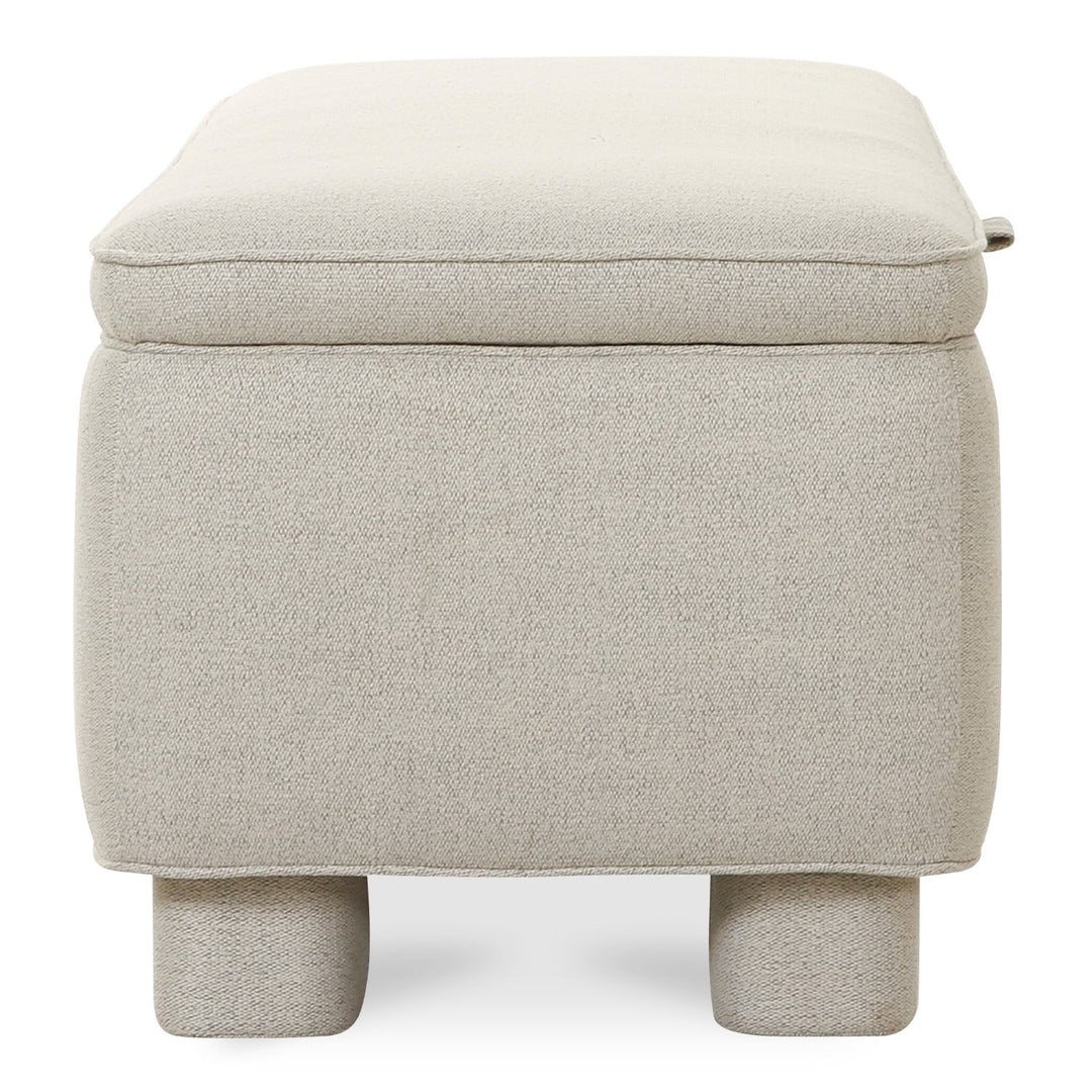 Ichigo Storage Bench 5