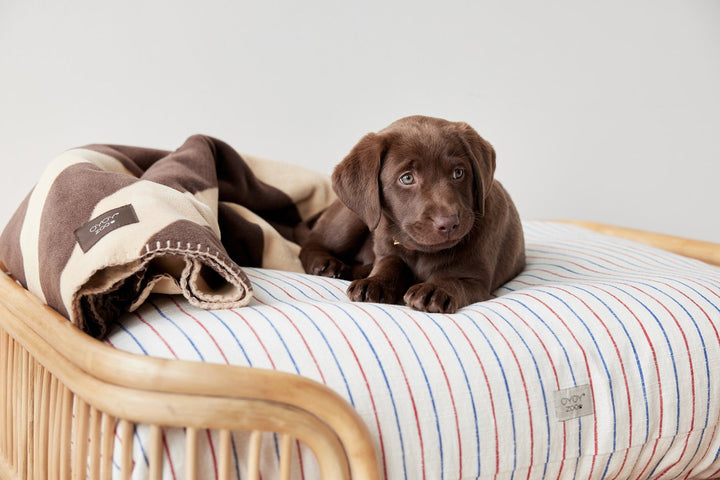 otto dog bed 10
