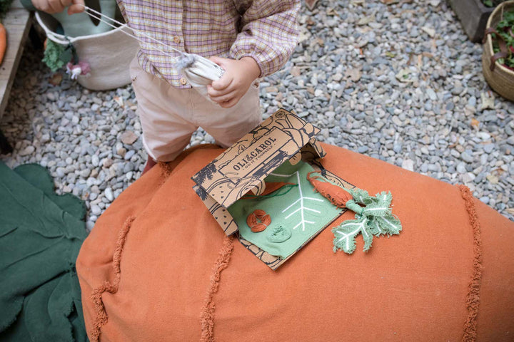 bean bag cathy the carrot by lorena canals p cathy 11