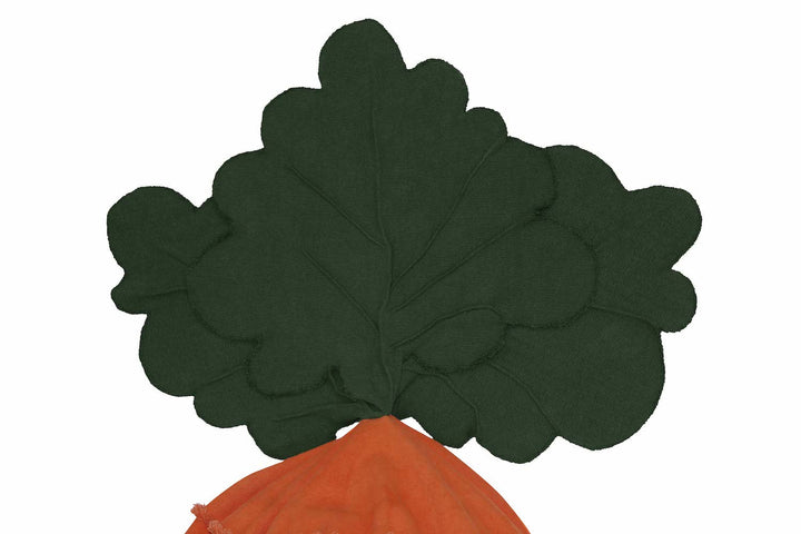 bean bag cathy the carrot by lorena canals p cathy 2