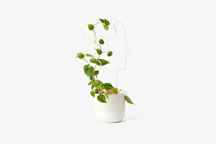 Green Thumb Gift Set