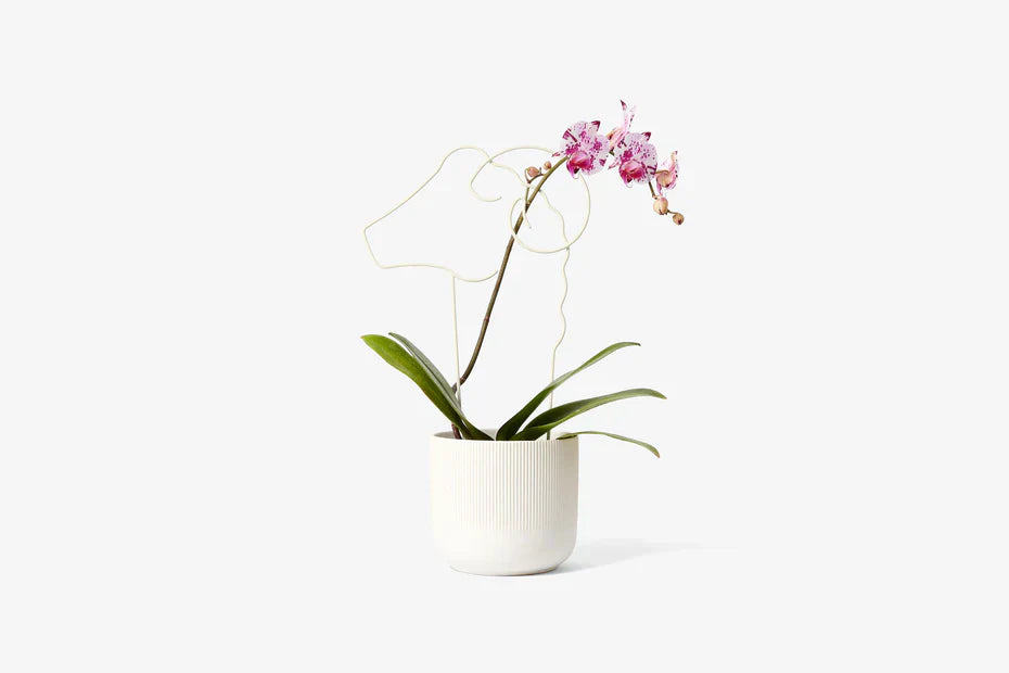 Green Thumb Gift Set