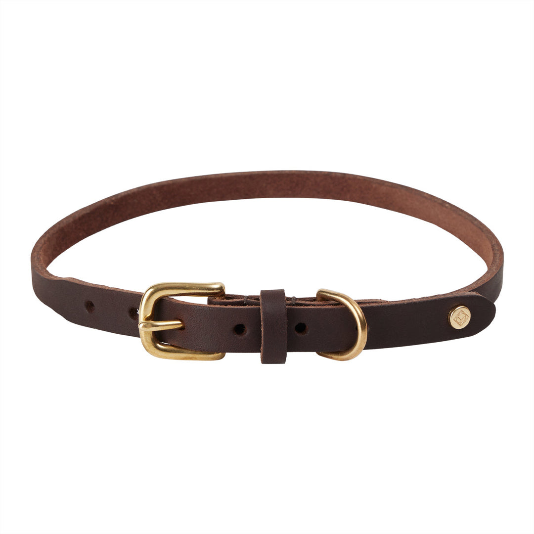 robin dog collar choko 4