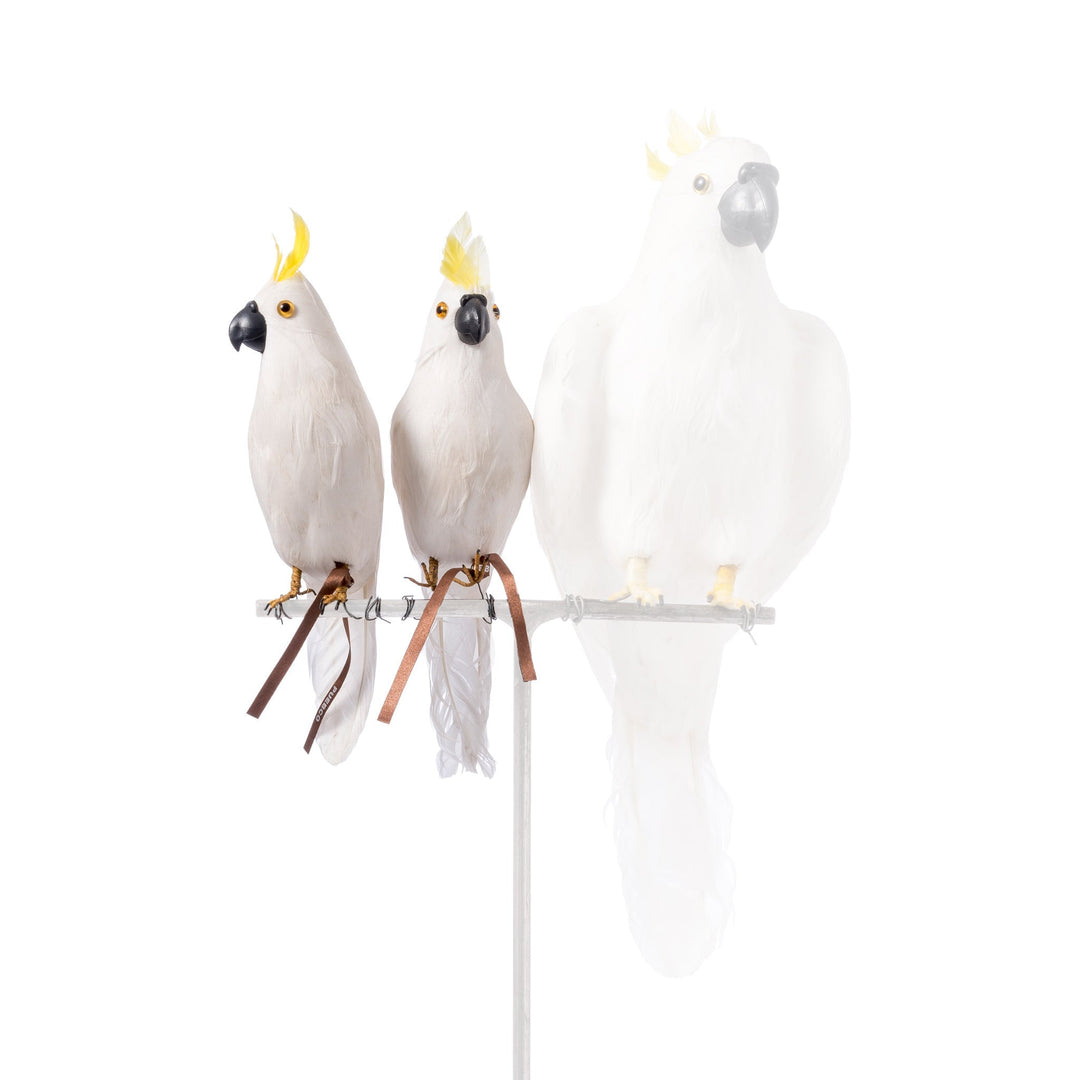 parrot small side design by puebco 1