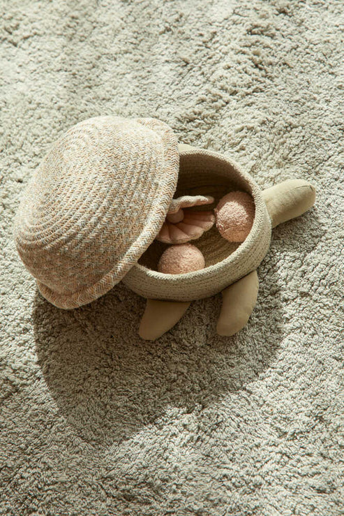 Baby Turtle Basket 5