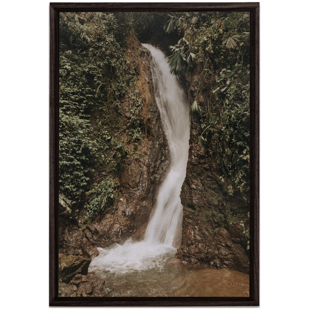 FramedCanvs-24x36-DarkWalnut-20250120095740302