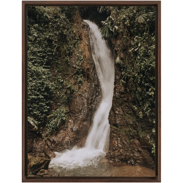 FramedCanvs-30x40-Walnut-20250120095740302
