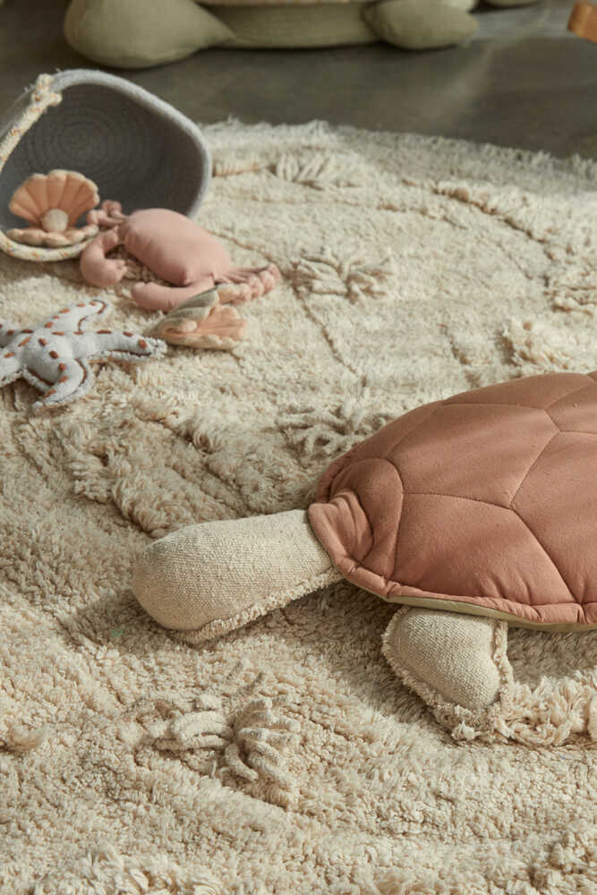 Turtle Cushion 2