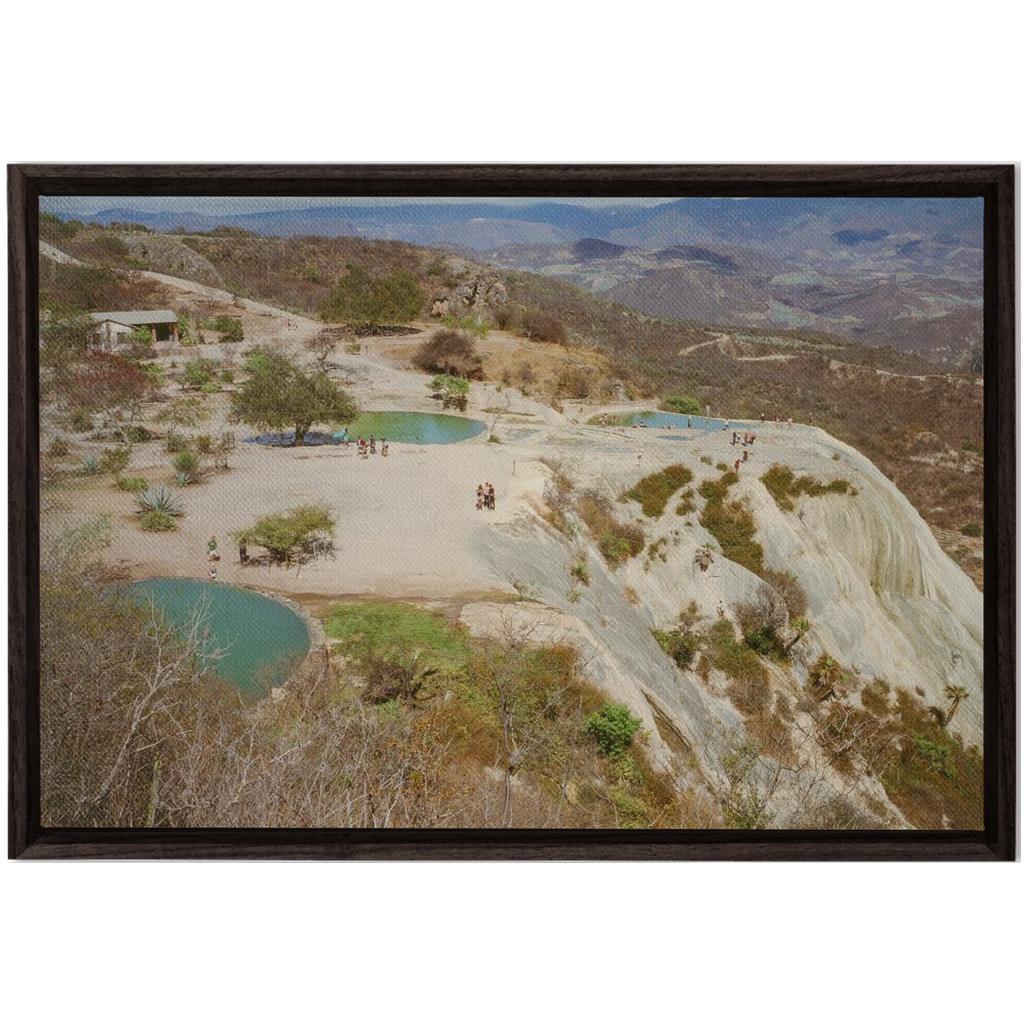 FramedCanvs-24x36-DarkWalnut-20250425123845640