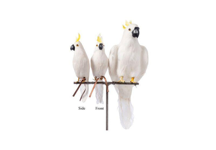 parrot small side design by puebco 5