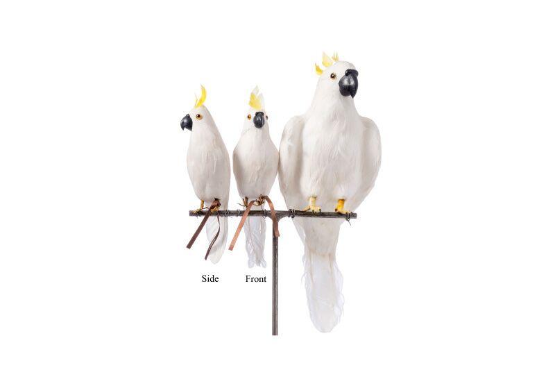 parrot small front design by puebco 1