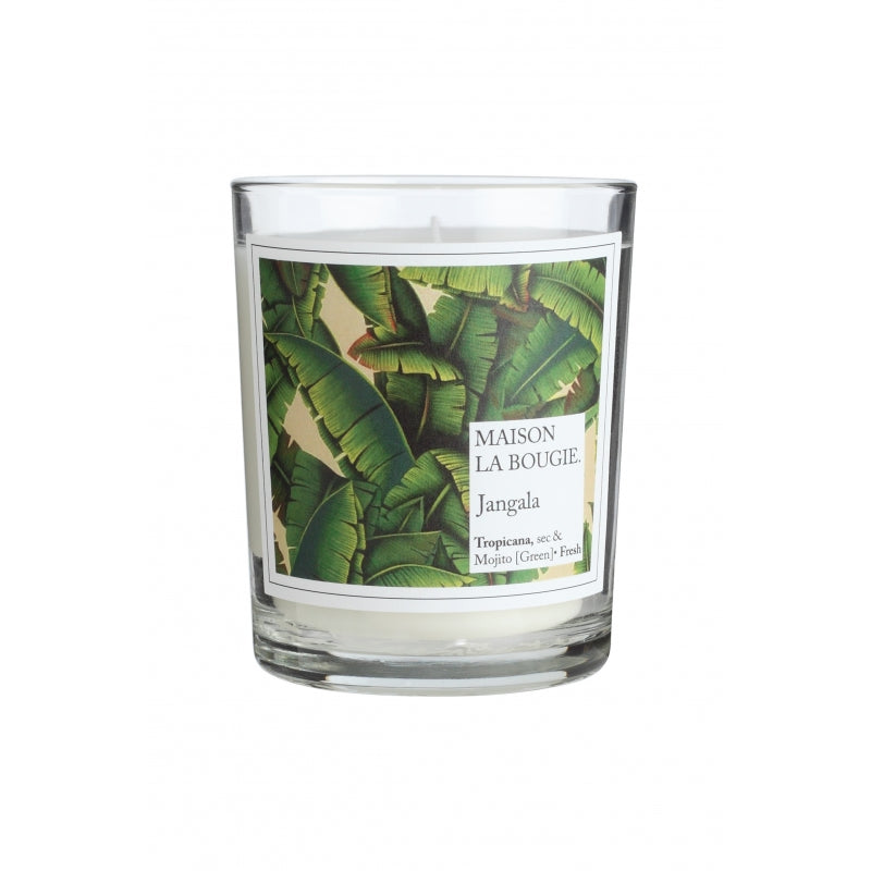 jangala scented candle 1
