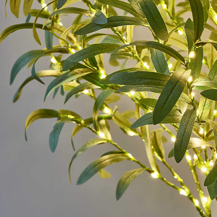 Festive Olive Tree