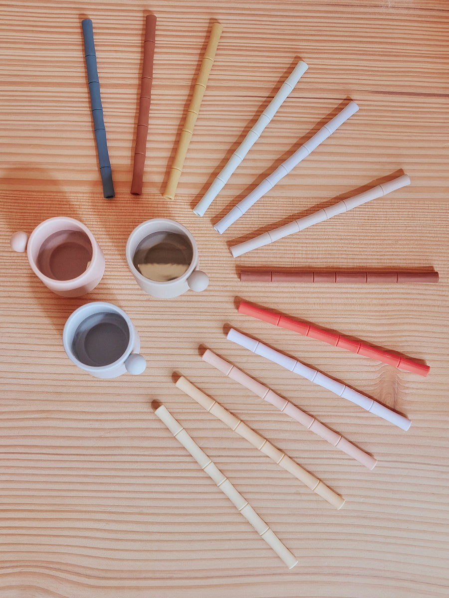 Pack of 6 Bamboo Silicone Straw in Cherry Red / Vanilla