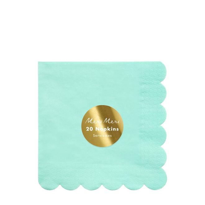 Mint Large Napkins