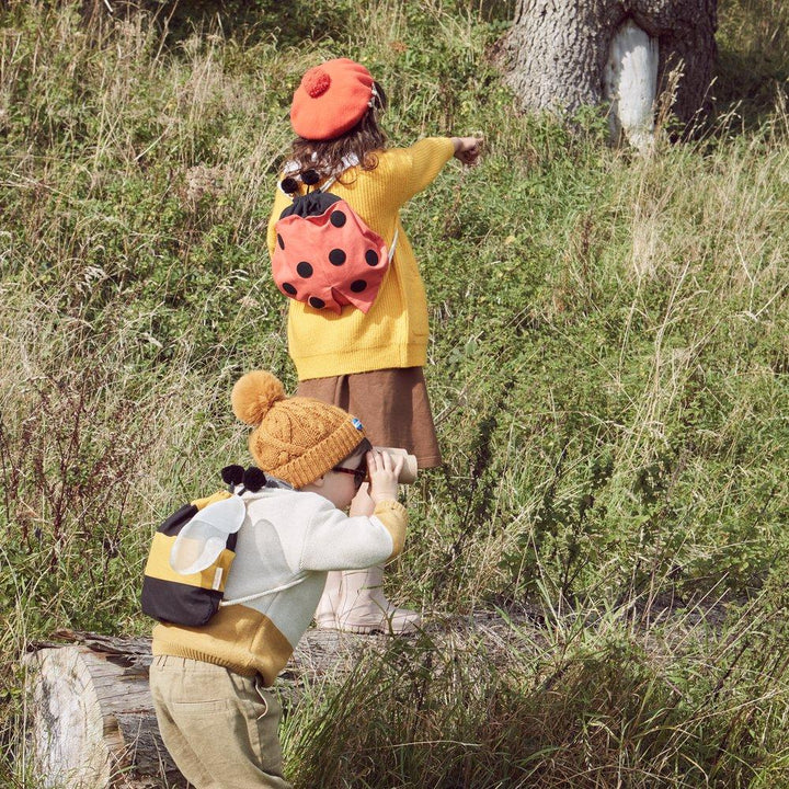 Ladybird/Ladybug Backpack