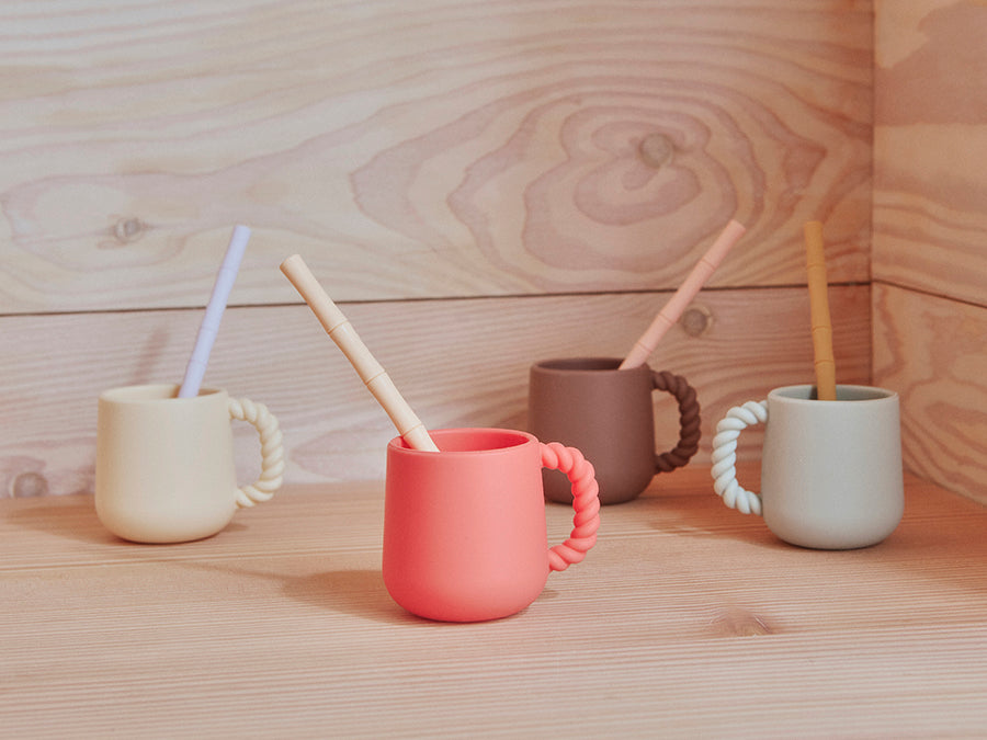Pack of 6 Bamboo Silicone Straw in Cherry Red / Vanilla
